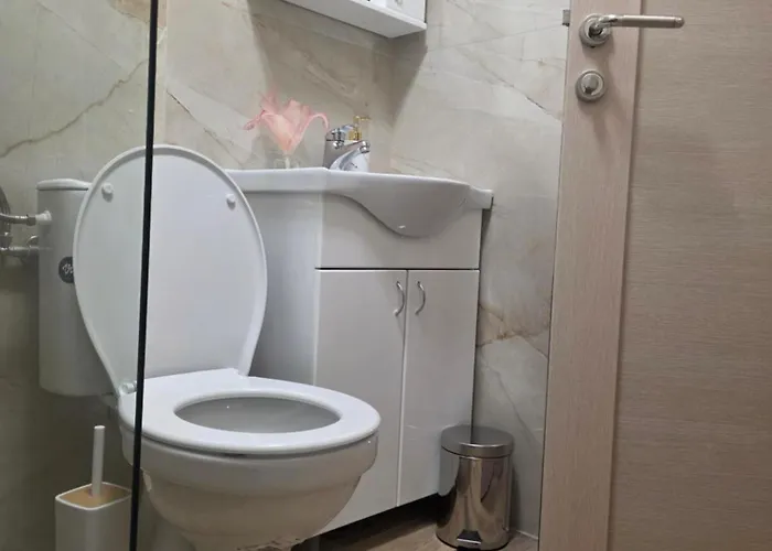 公寓 Mara Gornja Toplica